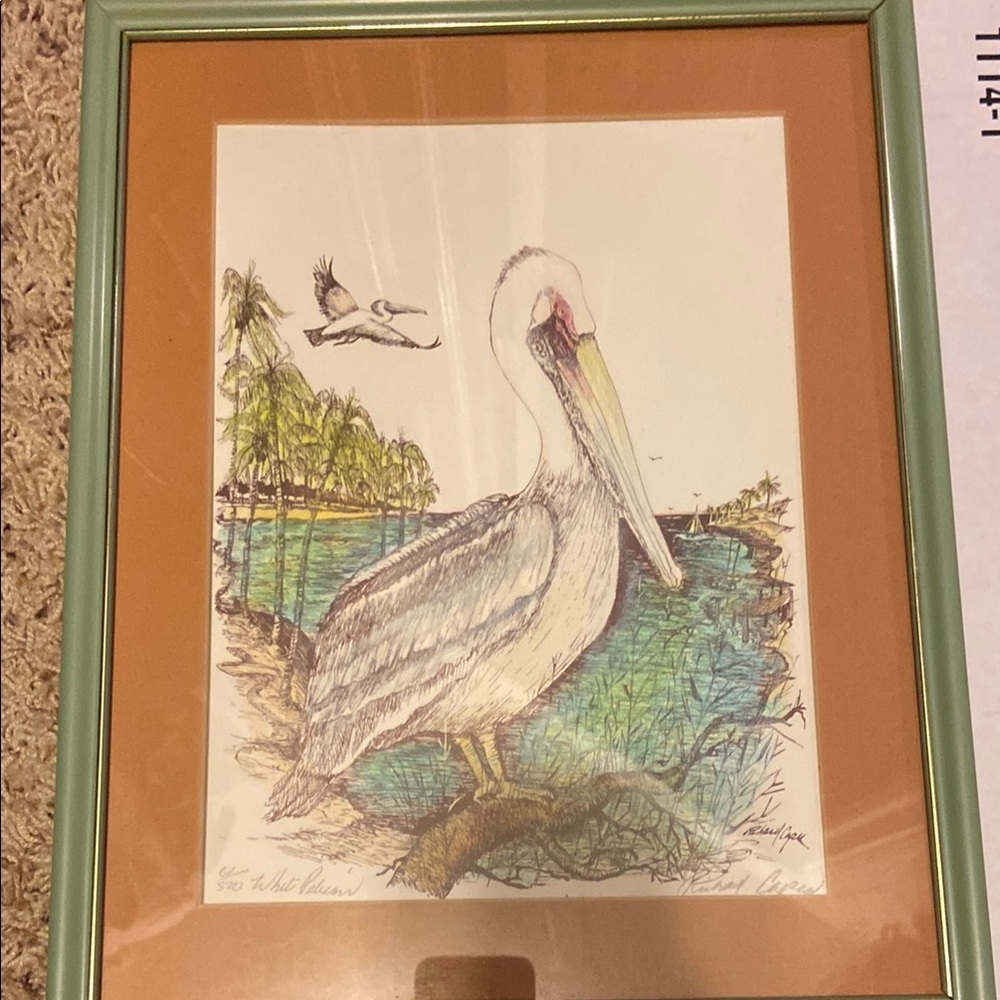 Framed Pelican Art Print by Richard Capes